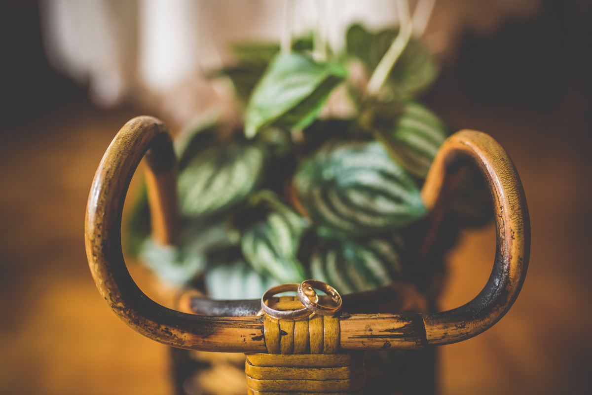 Una boda en Tierra Rapaz