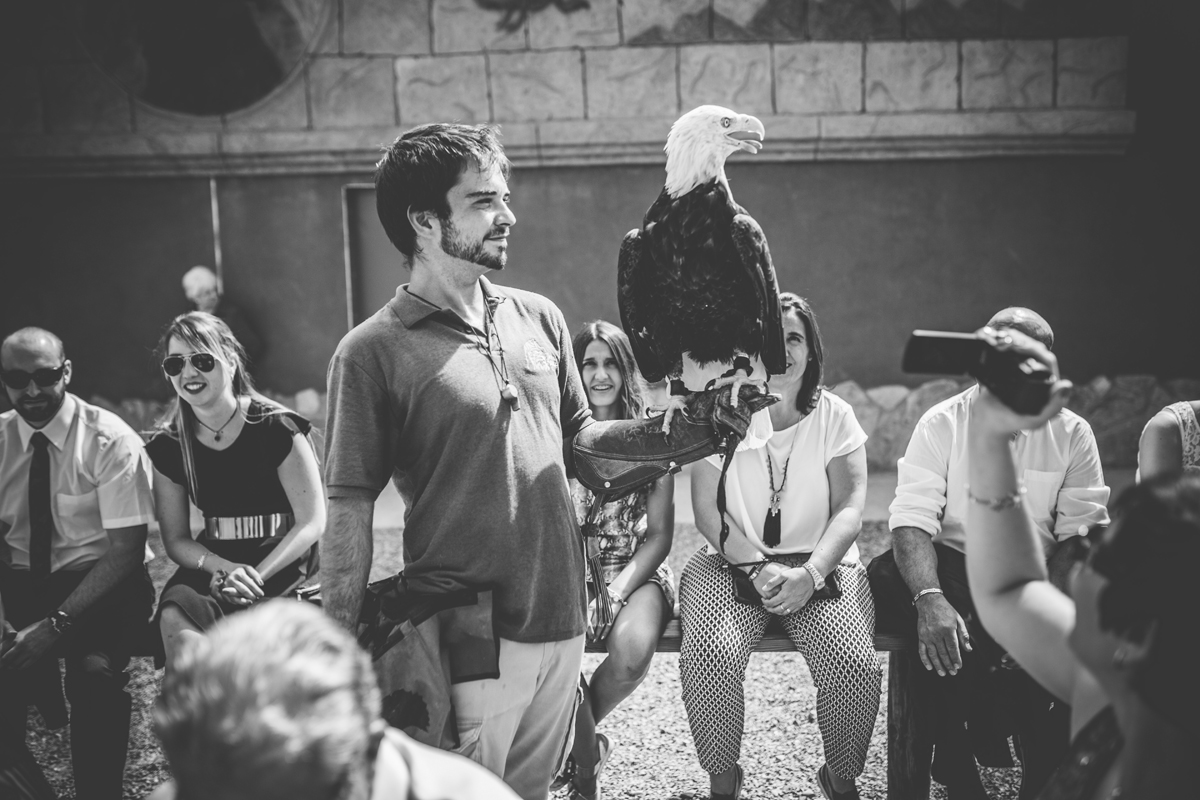 Una boda en Tierra Rapaz