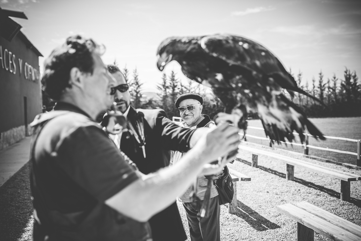Una boda en Tierra Rapaz