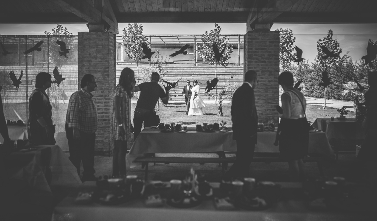 Una boda en Tierra Rapaz