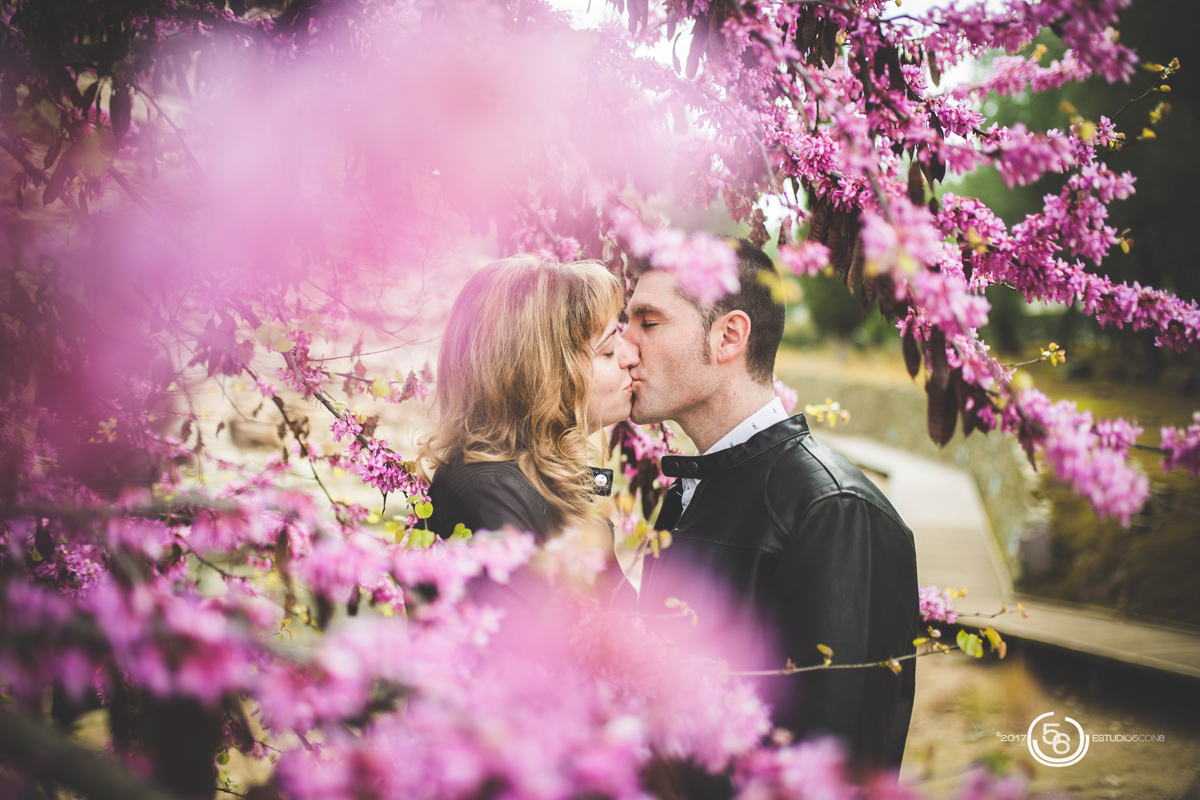 UNA PREBODA EN MÉRIDA