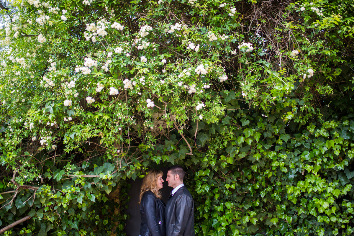 UNA PREBODA EN MÉRIDA